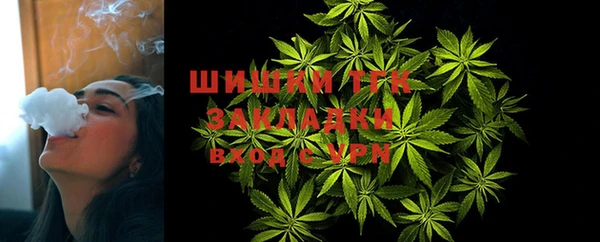 ALPHA PVP Ростов