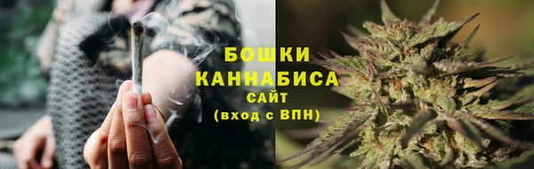 стаф Рославль