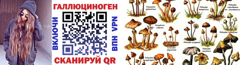 Галлюциногенные грибы Magic Shrooms  Ртищево 